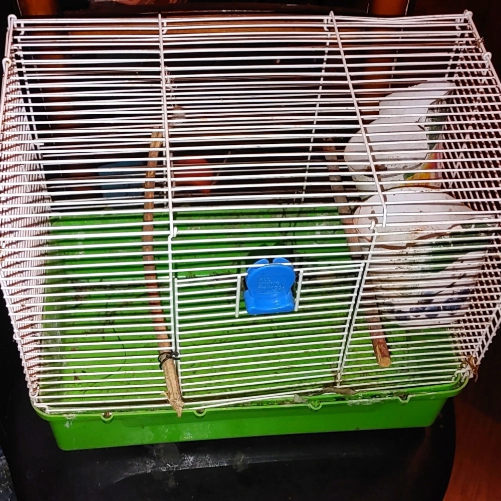 BIRD CAGE MINI CONDO